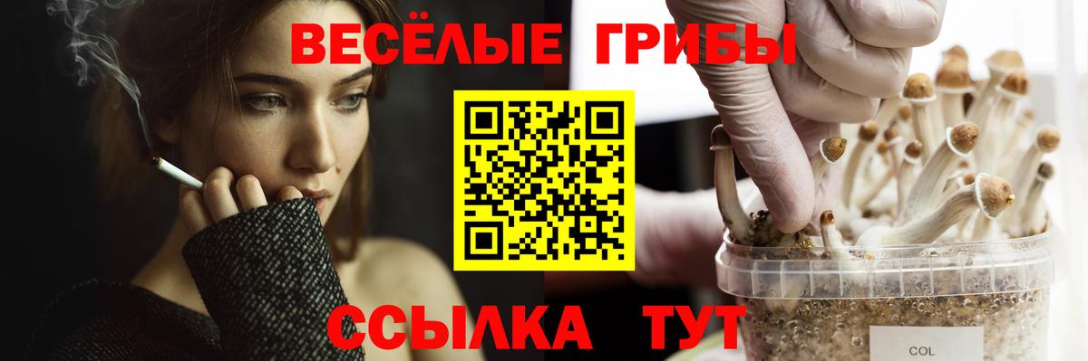 Галлюциногенные грибы MAGIC MUSHROOMS Норильск